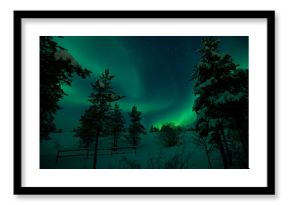 Aurora and trees