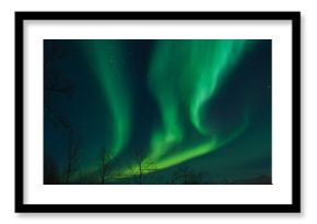 Northern Lights swirling in the night sky