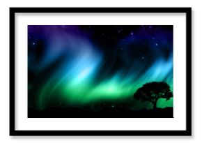 Night sky with norther lights with tree silhouettes