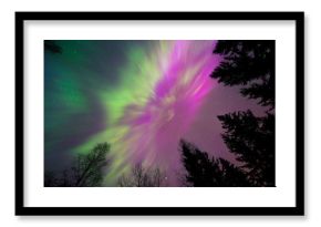 Northern lights