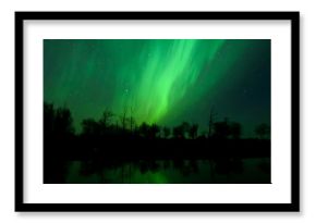 Aurora Borealis (Northern lights) in Alberta, Canada