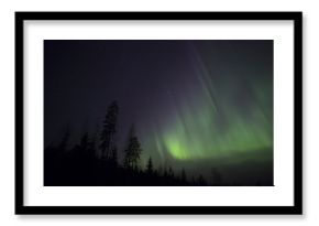 Amazing scenery in the Northern sky. Aurora Borealis is flaming up the sky during early November night.