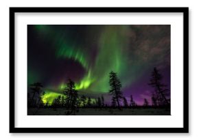 Winter night landscape with northern light over the taiga