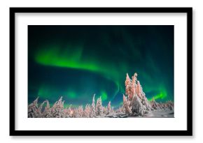 Winter night landscape with forest, road and polar light over the trees. 