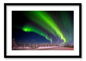 Winter night landscape with forest, road and polar light over the trees. 