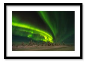 Winter night landscape with forest, road and polar light over the trees. 