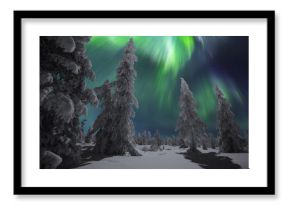 Winter night landscape with forest and polar northern lights