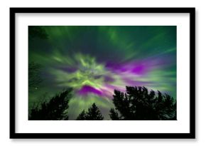 Colorful northern lights and treetops