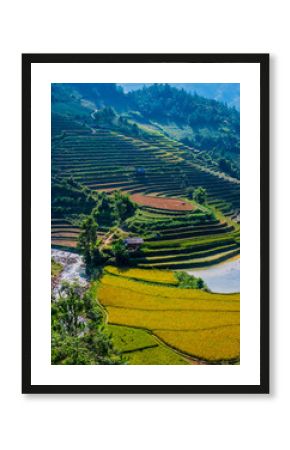 Landscape view of rice fields in Mu Cang Chai District, VIetnam