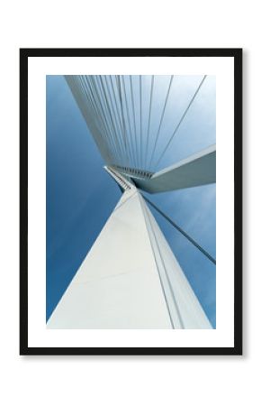 Close up of Erasmus bridge in Rotterdam