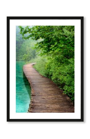 Wooden Bridge