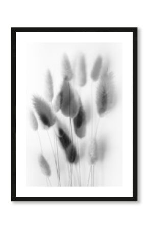 abstract background of flowers and plants, double multiple exposition