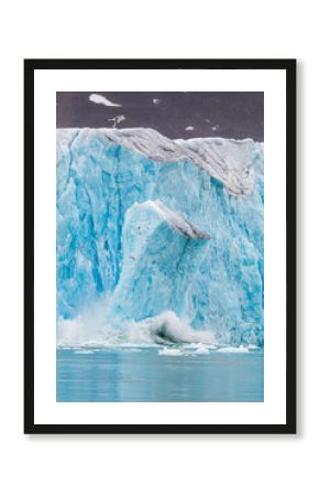 Giant iceberg calving from the Glacial wall