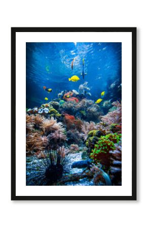 Underwater sea world. Colorful tropical fish. Life in the coral reef. Ecosystem.