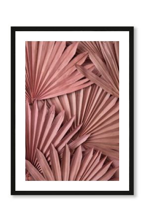 Dried pink tropical palm tree leaf boho style fashionable decoration background