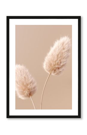 Dry fluffy flowers beige pastel color boho background 3d rendering. Abstract Pampas grass isolated