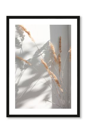 Dry flowers of pampas grass on a wall background indoors with sunbeams and abstract shadow. Minimalistic composition in boho style.