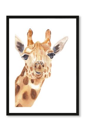 Watercolor safari animals portraits close ups: giraffe. Hand drawn hand painted posters great for wall design, pattern element, nursery decor, play room design 