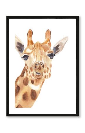 Watercolor safari animals portraits close ups: giraffe. Hand drawn hand painted posters great for wall design, pattern element, nursery decor, play room design 