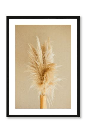 Dry pampas grass reeds agains on beige background. Minimal, stylish, trend concept. Copy space. Trend color 