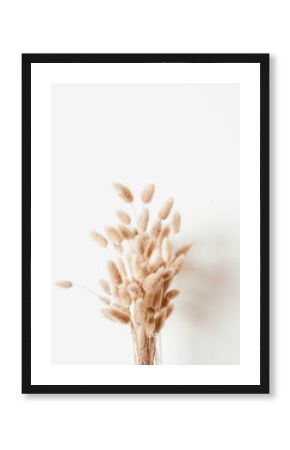 Fluffy tan pom pom plants bouquet in glass vase on white background. Styled floral minimal home interior design concept.