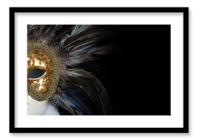 Venetian mask