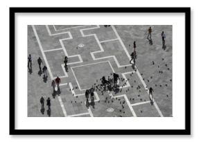 aerial view of Piazza San Marco, Venice, Italy