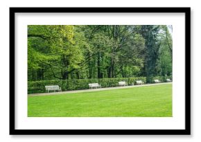 wooden benches in Lazienki park