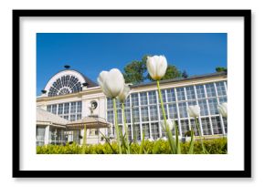 summer orangery in Warsaw, Poland Lazenki park