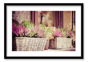 Pink and purple heather in decorative flower pot