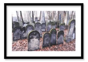 Warsaw Jewish Cemetery
