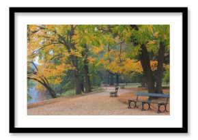 Autumn in the park. Royal Lazienki Park in Warsaw