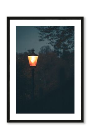 Latarnia w parku nocą