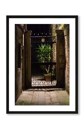 Oświetlona brama z rośliną nocą