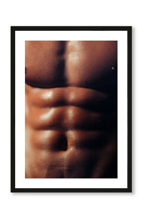 Attractive male sexy wet body. Muscular sixpack , closeup body. Banner templates with muscular man, muscular torso, six pack abs muscle.