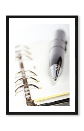 Detail of pen and opened agenda