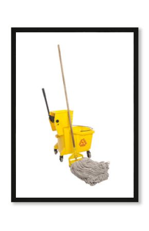 Industrial Mop and bucket