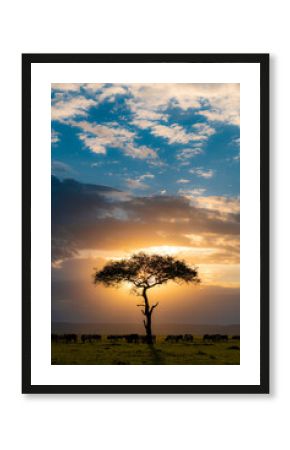 Sunset with over the safari with a lonely tree