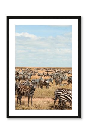 Spot the odd one out