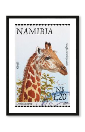 Head of Giraffe on namibian postage stamp
