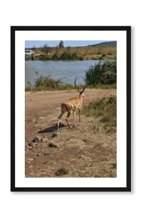 Nairobi National Park, Nairobi, Kenya