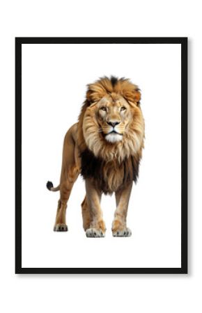 3D render of a lion on white background. The lion is standing upright with huge mane