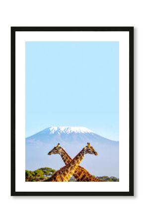 Giraffen im Hintergrund, Kilimandscharo, Tansania, 