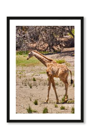 Eine Reise durch Südafrika.