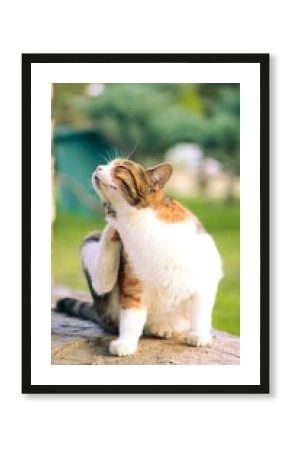 Underwater Wildlife World