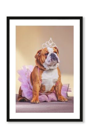 a cute bulldog dressed up in a pink tutu and a princess tiara crown toned with a retro vintage instagram filter app or action effect