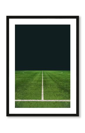 green textured soccer game field  - center, midfield. Poster.