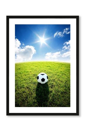 football field soccer stadium on the green grass blue sky sport