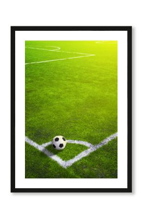 Soccer grass field with marking and ball, Sport