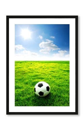football field soccer stadium on the green grass
